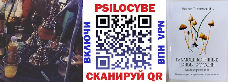 Галлюциногенные грибы Cubensis Зверево